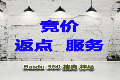 揭秘SEM竞价成功案例，助你提升ROI